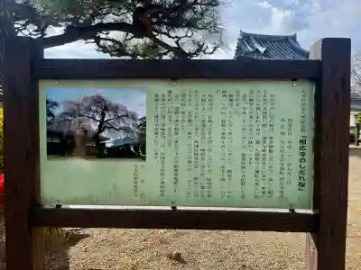 相応寺(福島県)