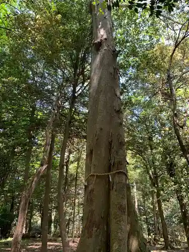 豊満神社の自然