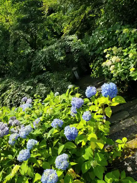 石都々古和気神社(福島県)