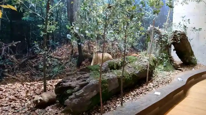 横倉神社の周辺