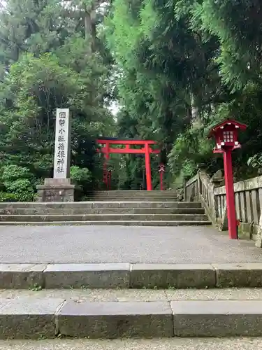 箱根神社の鳥居