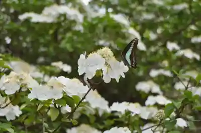 唐招提寺(奈良県)