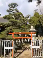 荒井神社の鳥居