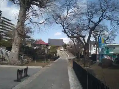 東福寺のその他建物