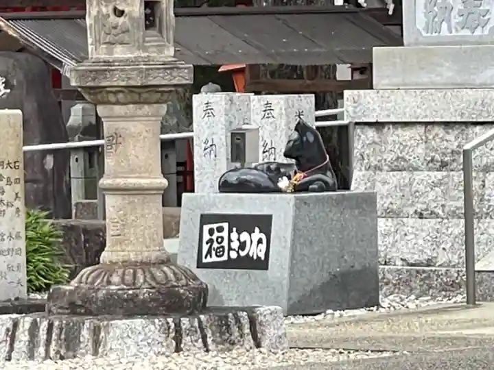 生玉稲荷神社の狛犬