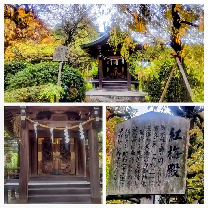 亀戸天神社(東京都)