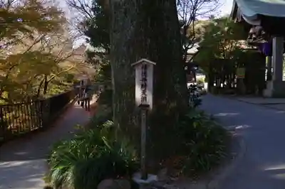 薬王院福徳弁財天洞のその他建物