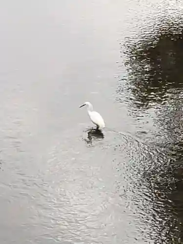 下高井戸八幡神社(東京都)