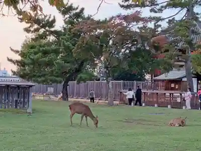 興福寺 南円堂(奈良県)