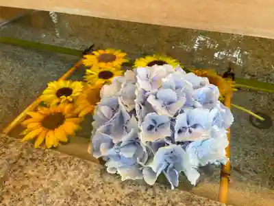 乃木神社の手水舎