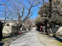 法明寺の{uncategorized: "未分類", other: "その他", undefined: "問題あり", building: "その他建物", grave: "お墓", sacred_gate: "鳥居", guardian: "狛犬", statue: "像", buddha: "仏像", history: "歴史", nature: "自然", garden: "庭園", animal: "動物", pagoda: "塔", temizu: "手水舎", mountain_gate: "山門・神門", sanctuary: "本殿・本堂", subordinate: "末社・摂社", art: "芸術", scenery: "景色", jizo: "地蔵", ema: "絵馬", goshuin: "御朱印", omikuji: "おみくじ", items: "授与品その他", amulet: "お守り", goshuincho: "御朱印帳", eats: "食事", festival: "お祭り", votive_dance: "神楽", shichigosan: "七五三参", wedding: "結婚式", experience: "体験その他", initially: "初詣", around: "周辺", anti_infection: "感染症対策"}