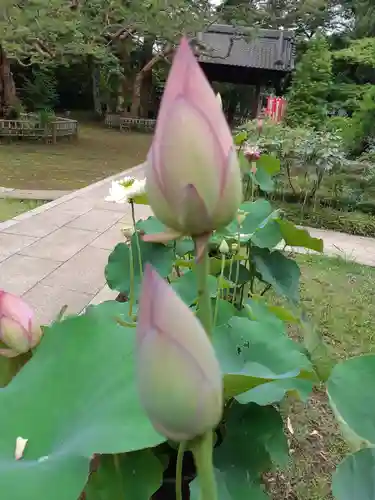 金乘院(千葉県)