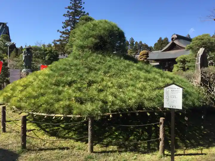 大聖寺(土浦大師不動尊)の庭園