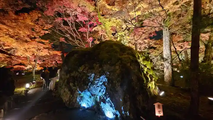 宝厳院(京都府)