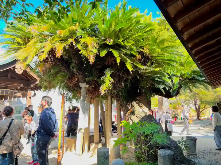 鳥飼八幡宮(福岡県)