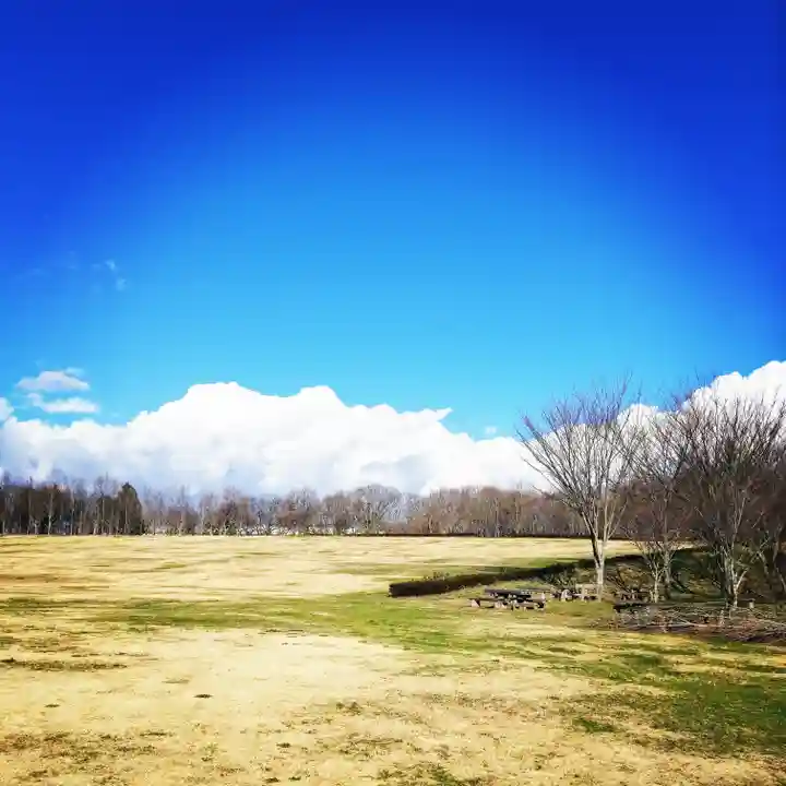 大生神社の自然