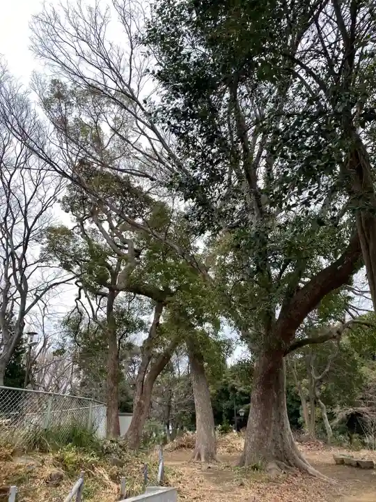 上野大佛の自然