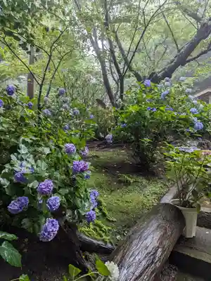 葛原岡神社(神奈川県)