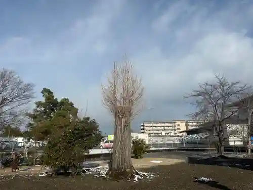 都恵神社(滋賀県)
