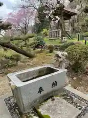 金剛寿院 (伝法寺)の手水