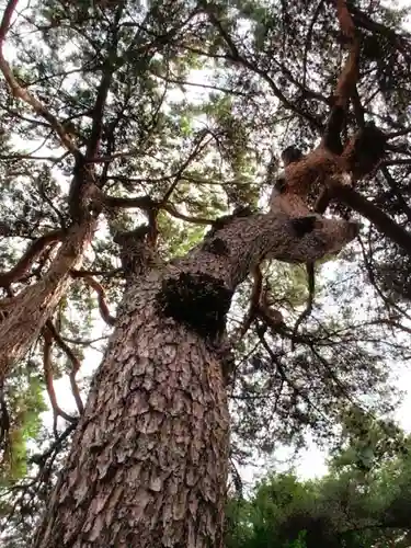 下高井戸八幡神社(東京都)