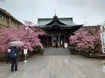 桜神宮(東京都)