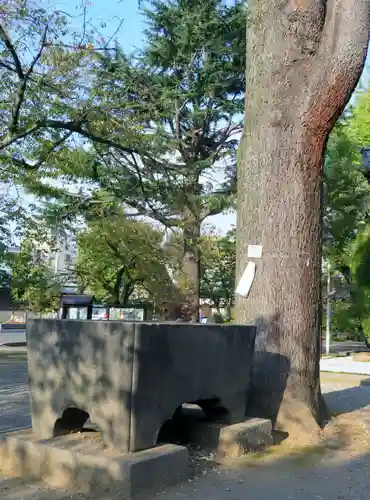 寛永寺(根本中堂)のその他建物