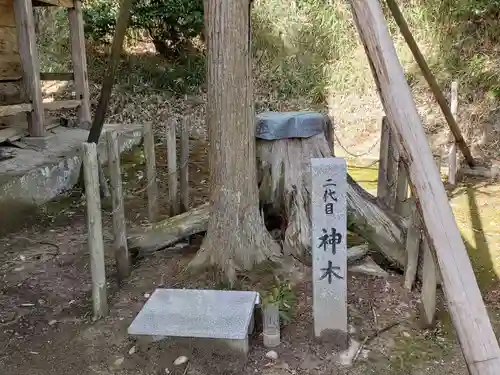山王神社の自然