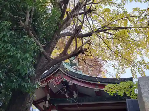 河原町稲荷神社の本殿・本堂