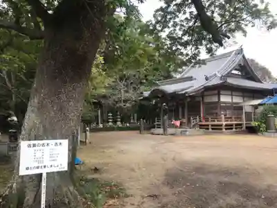 竹崎観世音寺(佐賀県)