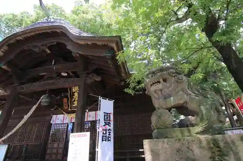阿邪訶根神社の本殿・本堂