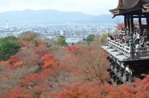 清水寺の景色