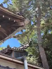 丹生神社(兵庫県)