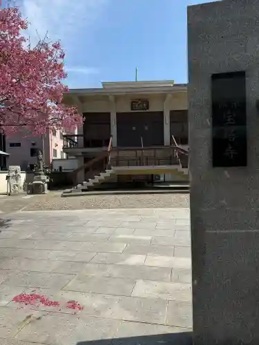寳塔寺の{uncategorized: "未分類", other: "その他", undefined: "問題あり", building: "その他建物", grave: "お墓", sacred_gate: "鳥居", guardian: "狛犬", statue: "像", buddha: "仏像", history: "歴史", nature: "自然", garden: "庭園", animal: "動物", pagoda: "塔", temizu: "手水舎", mountain_gate: "山門・神門", sanctuary: "本殿・本堂", subordinate: "末社・摂社", art: "芸術", scenery: "景色", jizo: "地蔵", ema: "絵馬", goshuin: "御朱印", omikuji: "おみくじ", items: "授与品その他", amulet: "お守り", goshuincho: "御朱印帳", eats: "食事", festival: "お祭り", votive_dance: "神楽", shichigosan: "七五三参", wedding: "結婚式", experience: "体験その他", initially: "初詣", around: "周辺", anti_infection: "感染症対策"}