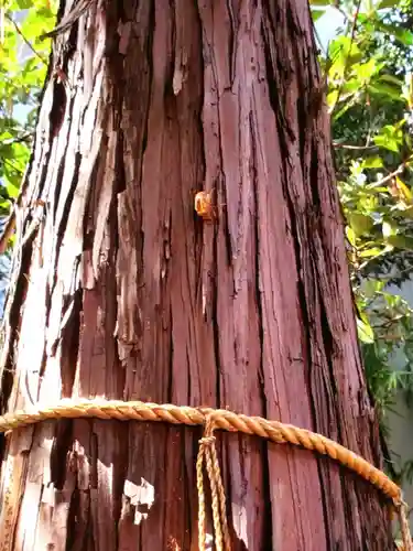くまくま神社(導きの社 熊野町熊野神社)(東京都)