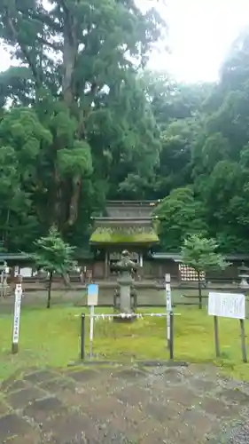 若狭姫神社（若狭彦神社下社）の建物その他