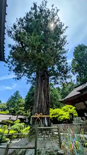 北口本宮冨士浅間神社(山梨県)