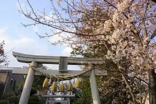 上青木氷川神社の鳥居