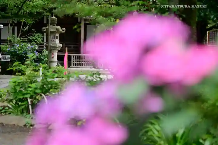 高幡不動尊 金剛寺の自然