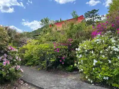 市杵島姫神社(兵庫県)