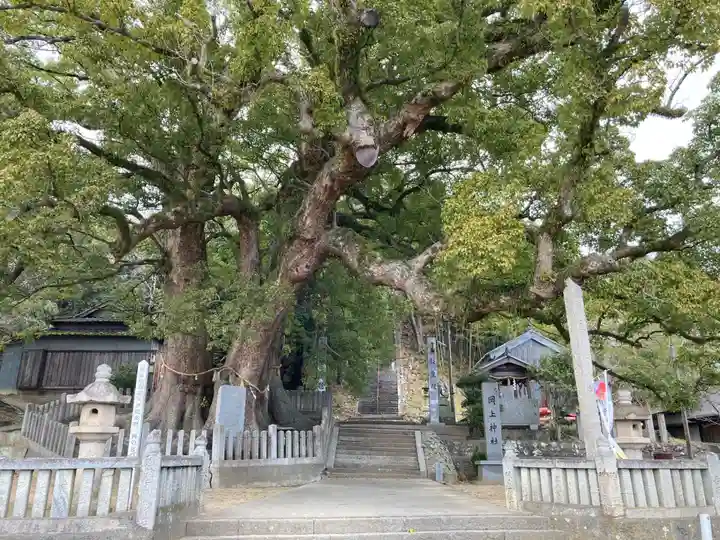 岡上神社(徳島県)