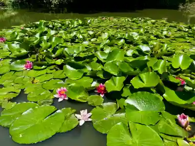 大徳寺(宮城県)
