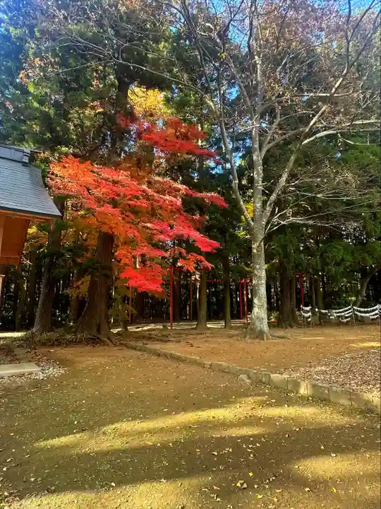陸奥総社宮(宮城県)