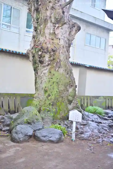 楊原神社(静岡県)