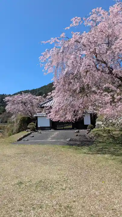 泰門庵(滋賀県)