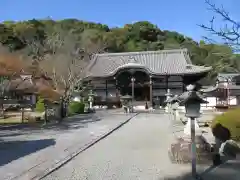 根来寺の本殿