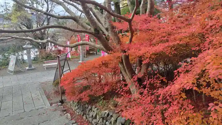 出雲大神宮の自然