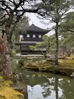 慈照寺(慈照禅寺・銀閣寺)(京都府)