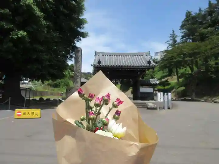 妙福寺(神奈川県)