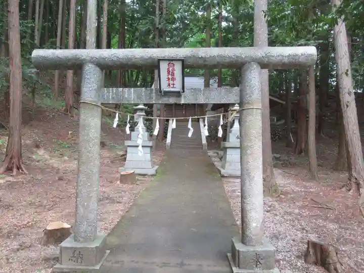 白鬚神社(東京都)